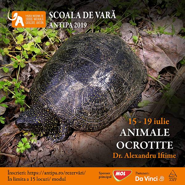 „Animale ocrotite”, un nou modul al Școlii de Vară Antipa