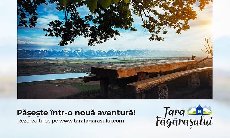 Tara Fagarasului by Propaganda